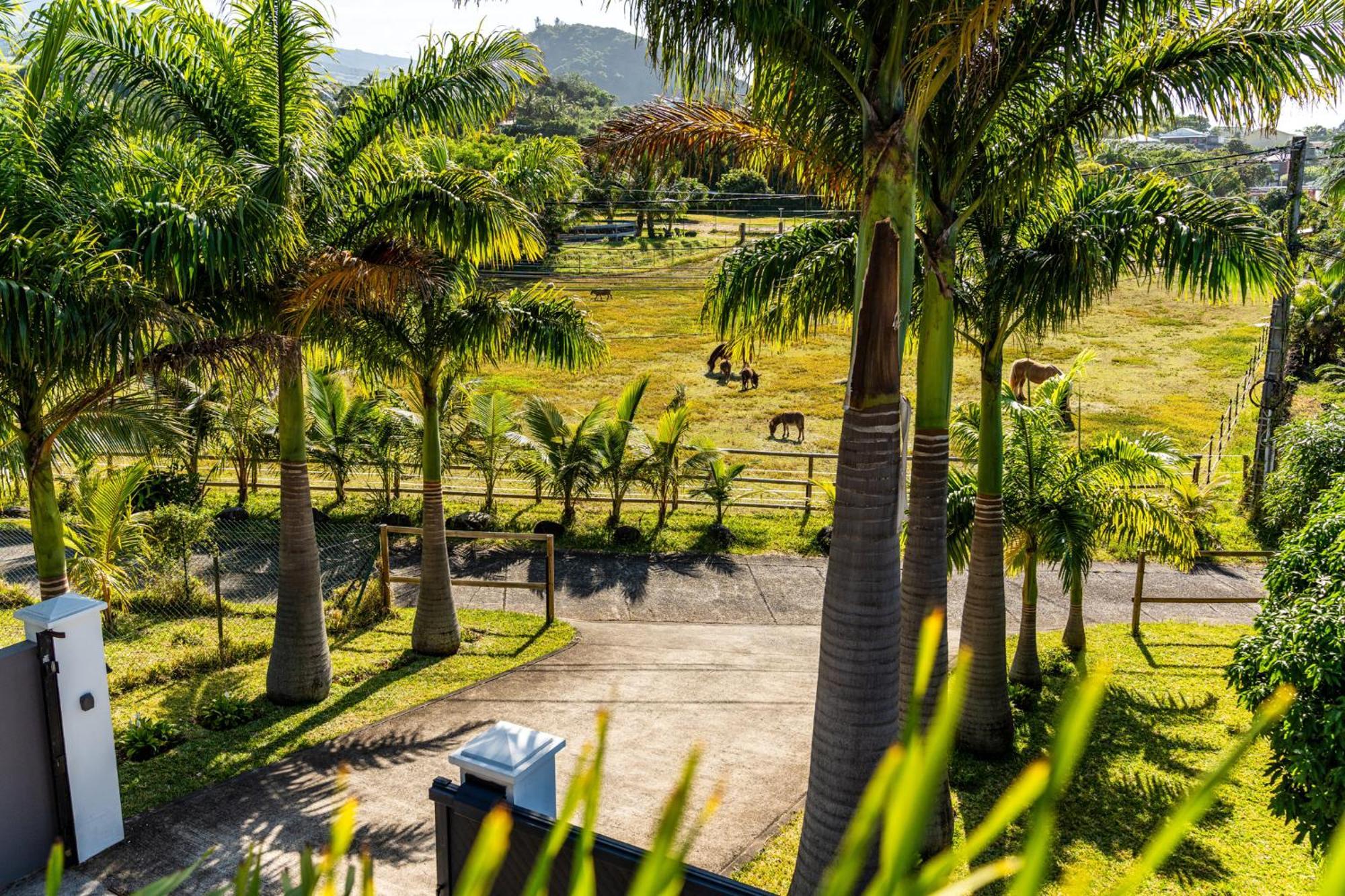 Villa Avec Piscine Vue Mer Et Montagne, En Pleine Nature Saint-Joseph Extérieur photo